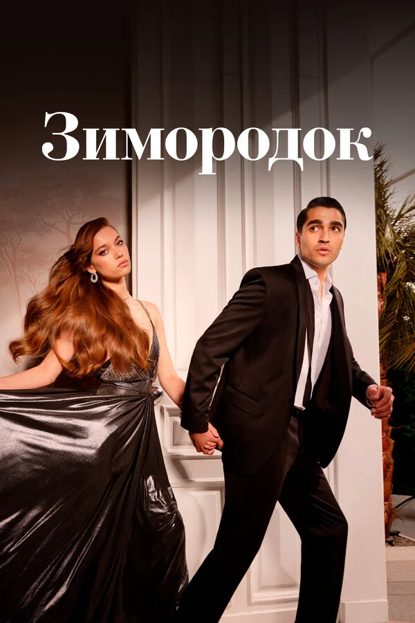 Зимородок [1-3 сезон, 29,30,31,32 серии на русском бесплатно]